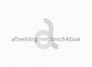 Wegwijscoach