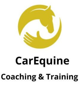 CarEquine coaching en training